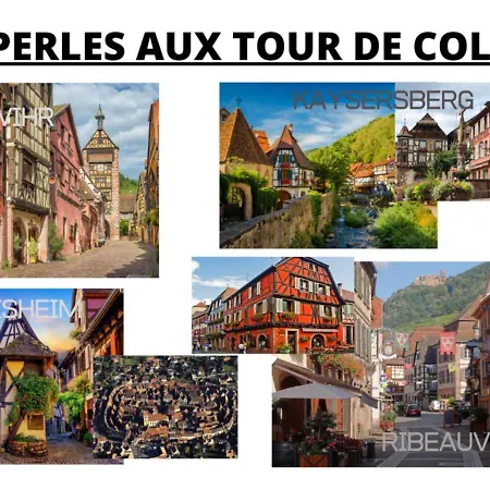 Daire Cosis - 2 - 4 Pers - Duplex - Parking - Wifi Colmar