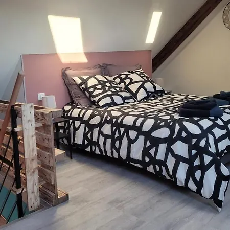Cosis - 2 - 4 Pers - Duplex - Parking - Wifi Daire *